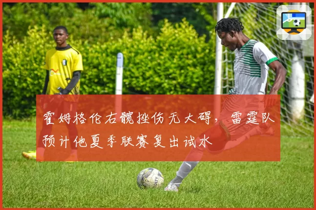 霍姆格伦右髋挫伤无大碍,雷霆队预计他夏季联赛复出试水